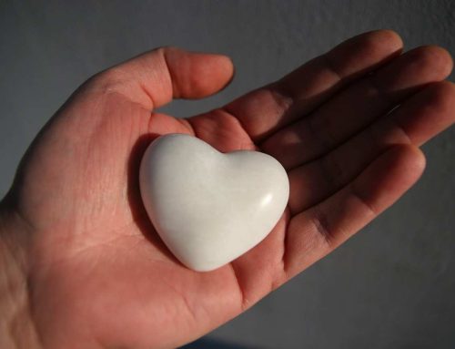 Community Based Victim Services Support Worker